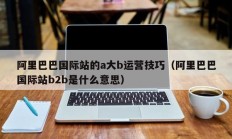 阿里巴巴国际站的a大b运营技巧（阿里巴巴国际站b2b是什么意思）