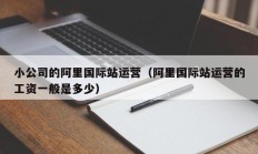 小公司的阿里国际站运营（阿里国际站运营的工资一般是多少）